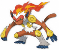 /album/fotos-de-pokemons/a392infernape1ky2-png/